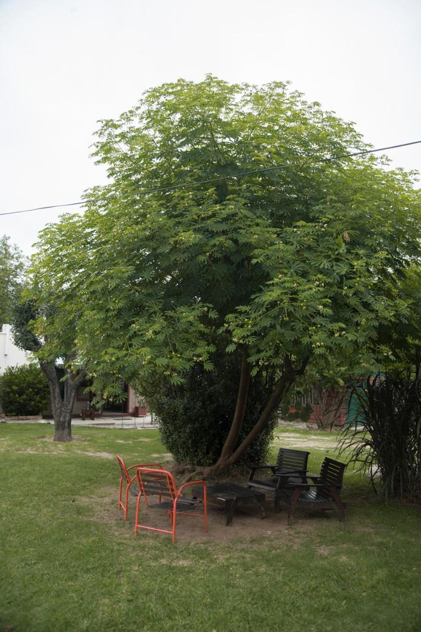 ויז'ה קרלוס פאס Feliza Hostel מראה חיצוני תמונה